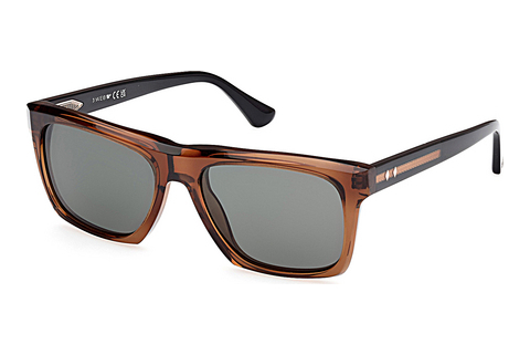 Web Eyewear WE0367 50D Napszemüveg