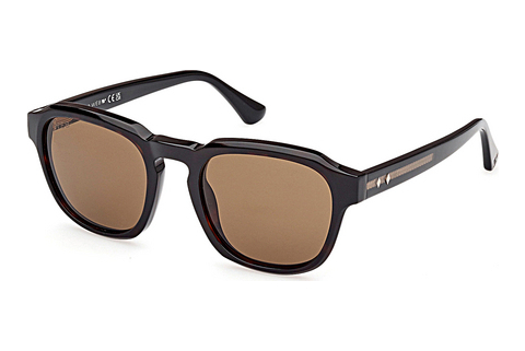 Web Eyewear WE0370 56J Napszemüveg
