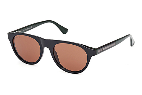 Web Eyewear WE0377 98E Napszemüveg