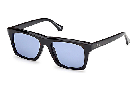 Web Eyewear WE0382 56V Napszemüveg