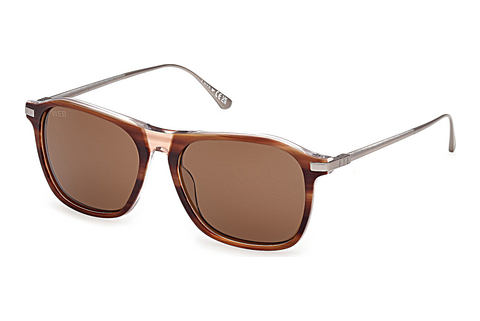 Web Eyewear WE0386 56E Napszemüveg