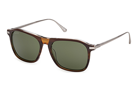 Web Eyewear WE0386 56N Napszemüveg